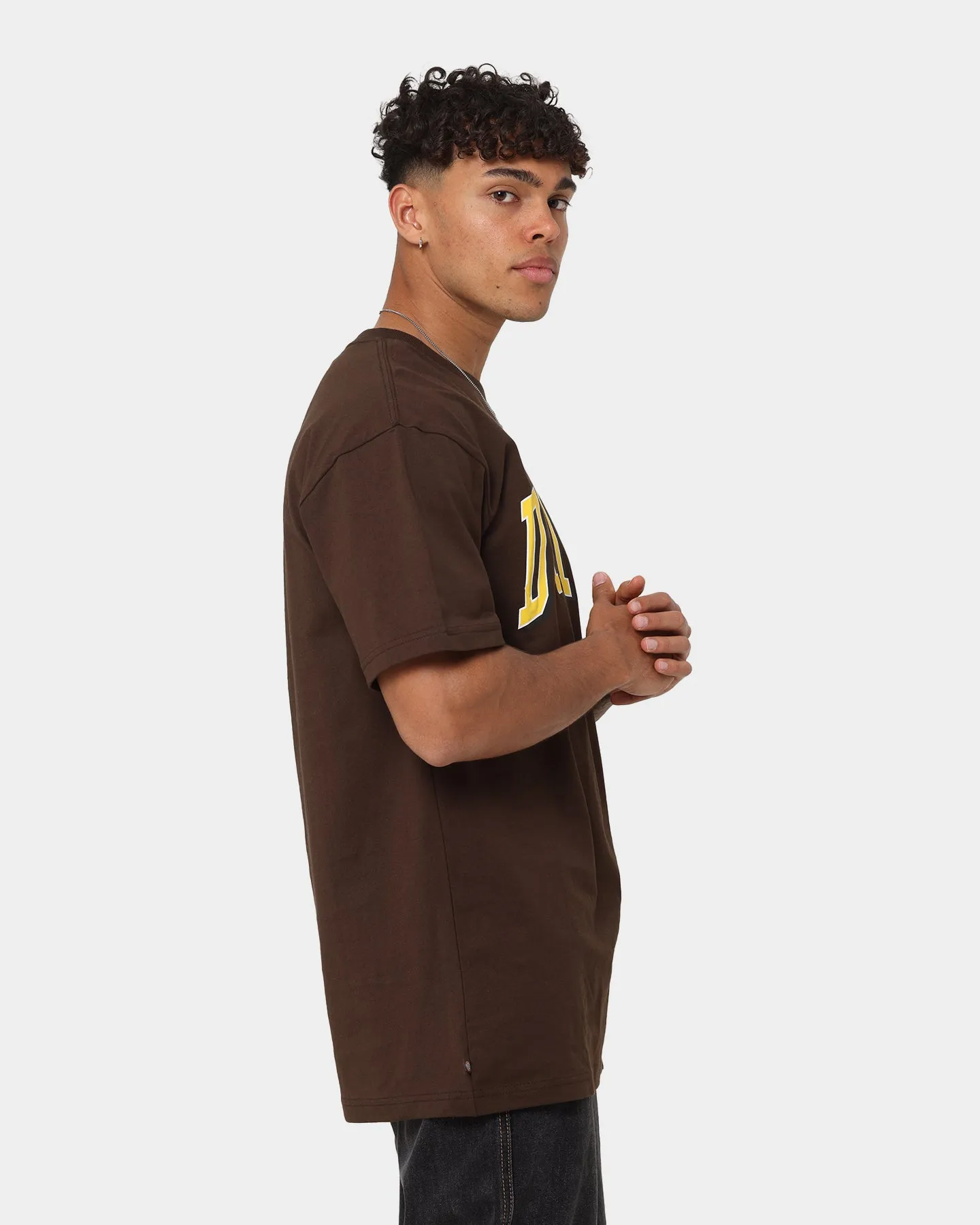 Dickies Longview T-Shirt Chestnut