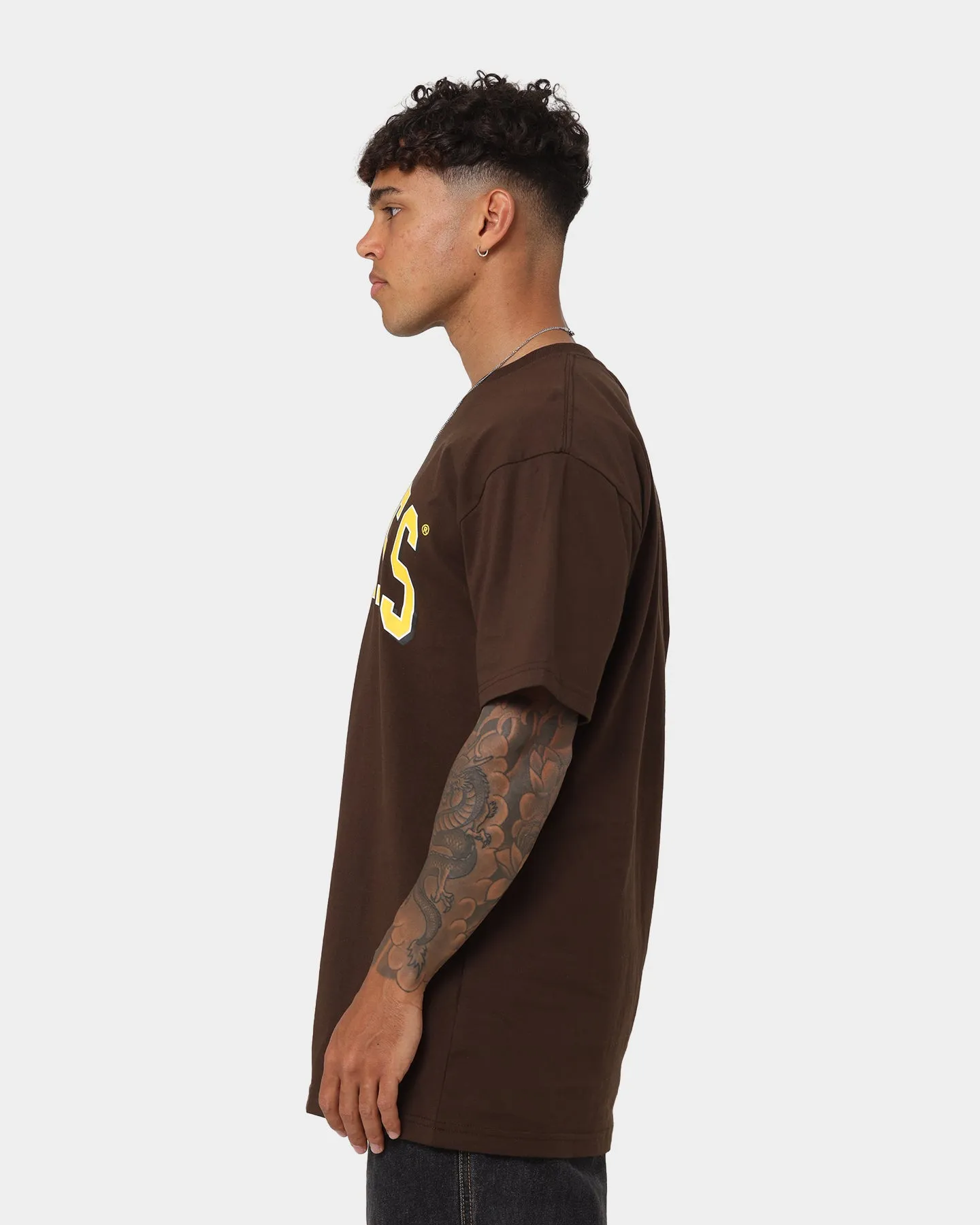 Dickies Longview T-Shirt Chestnut